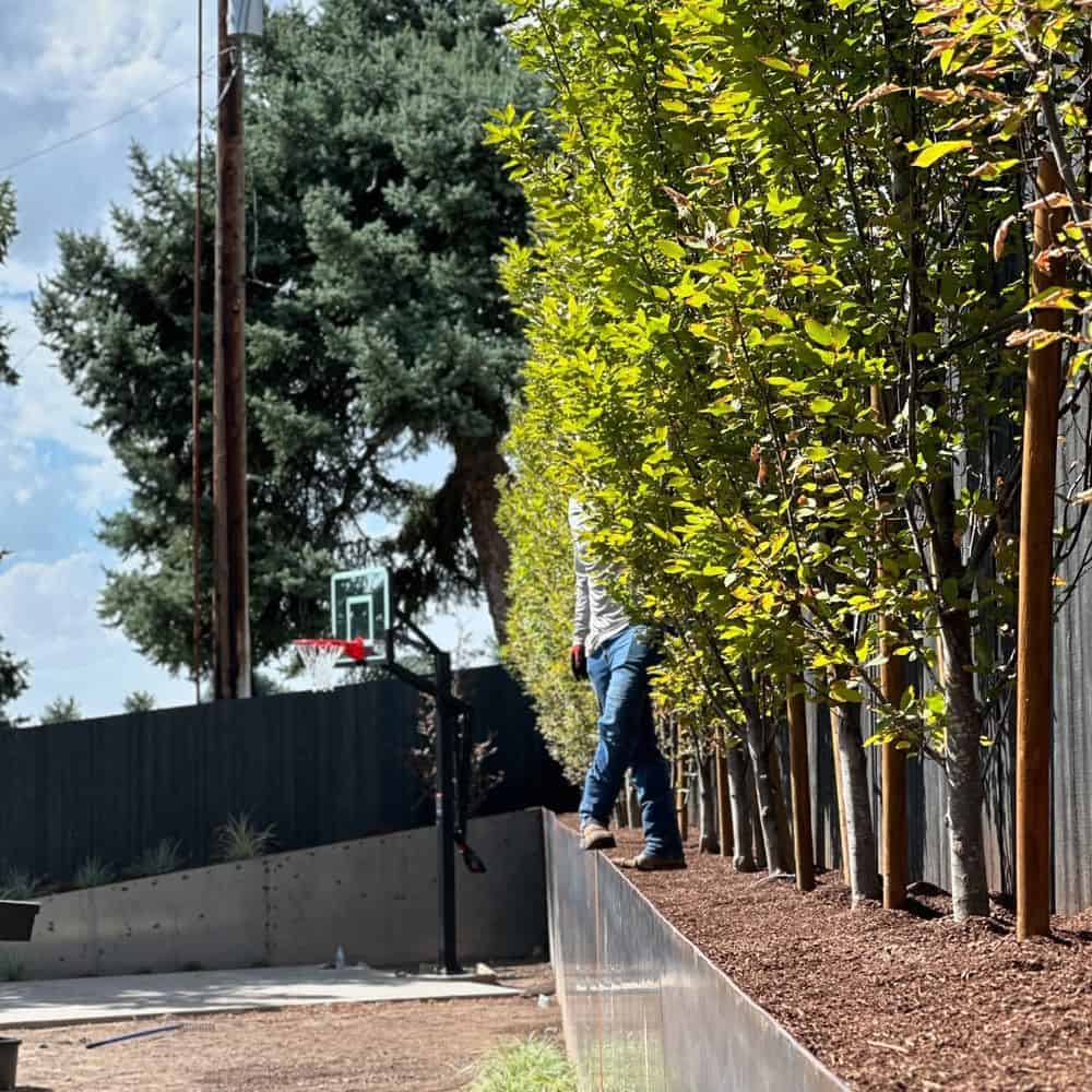 Planting & Removal image