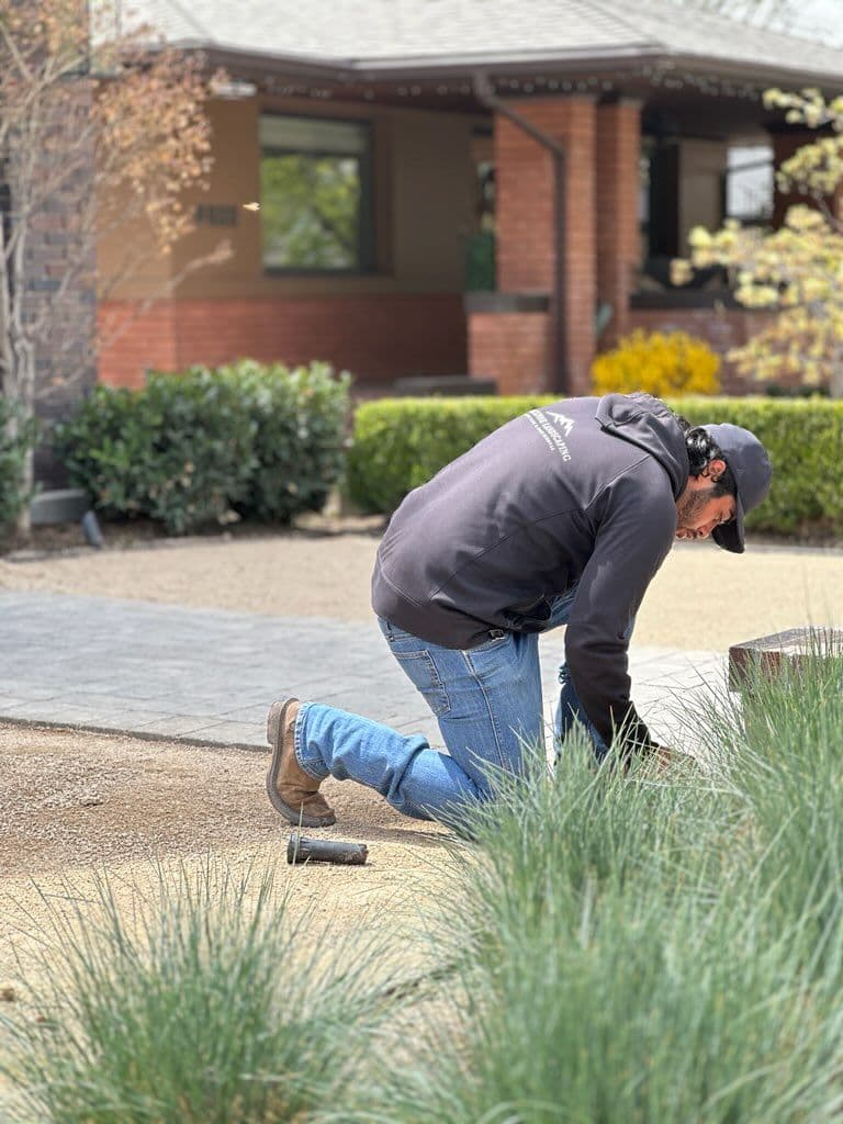 Project Artificial Turf Installation by Black Pine Landscaping image