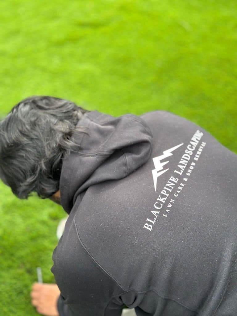 Project Artificial Turf Installation by Black Pine Landscaping image